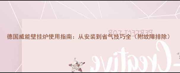 图片 德国威能壁挂炉使用指南：从安装到省气技巧全（附故障排除）