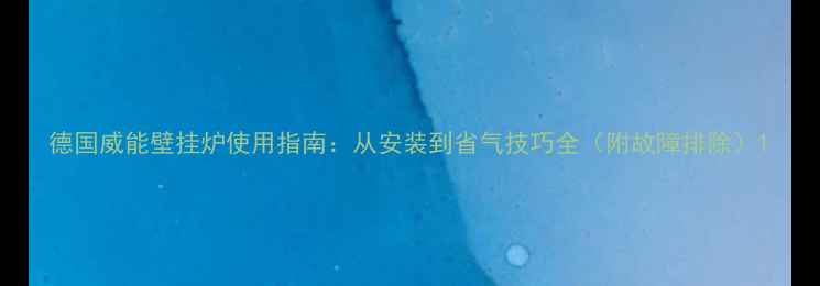 图片 德国威能壁挂炉使用指南：从安装到省气技巧全（附故障排除）1