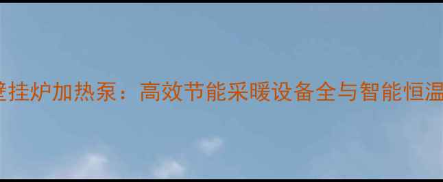 图片 德国威能壁挂炉加热泵：高效节能采暖设备全与智能恒温解决方案1