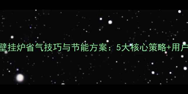 图片 德国威能壁挂炉省气技巧与节能方案：5大核心策略+用户实测数据