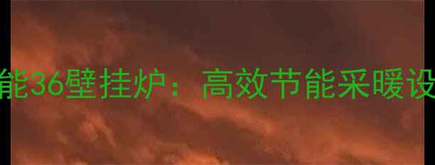 图片 德国威能威能36壁挂炉：高效节能采暖设备选购指南
