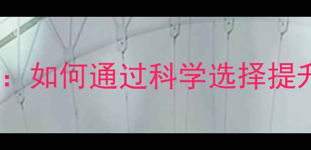 德国威能暖气片厚度如何通过科学选择提升采暖效率与耐用性