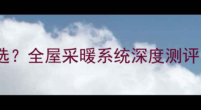 图片 德国威能暖气片怎么选？全屋采暖系统深度测评（附选购避坑指南）1