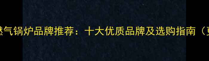 图片 德国燃气锅炉品牌推荐：十大优质品牌及选购指南（更新）