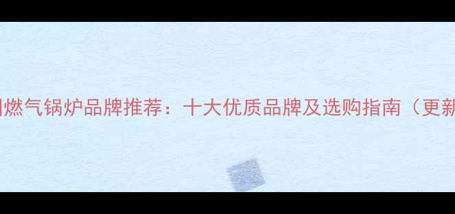 图片 德国燃气锅炉品牌推荐：十大优质品牌及选购指南（更新）1