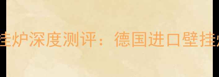 德国瑞德冷凝壁挂炉深度测评德国进口壁挂炉选购必看指南