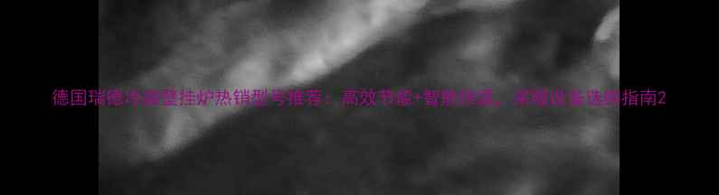 德国瑞德冷凝壁挂炉热销型号推荐高效节能智能恒温采暖设备选购指南