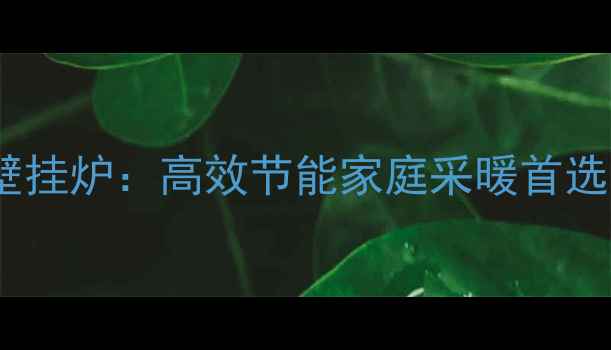 德国艾瑞森燃气壁挂炉高效节能家庭采暖首选冬季供暖指南