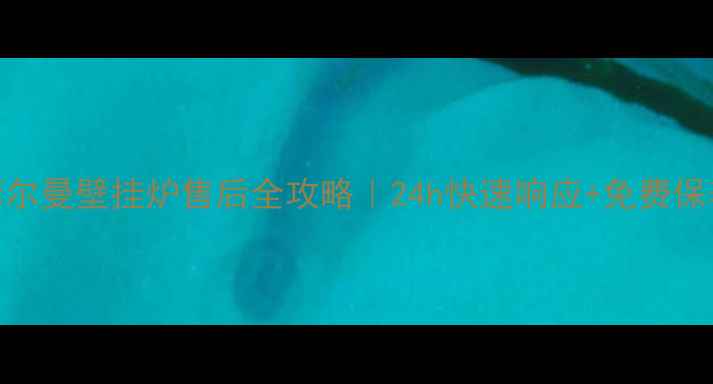 图片 德国菲尔曼壁挂炉售后全攻略｜24h快速响应+免费保养指南