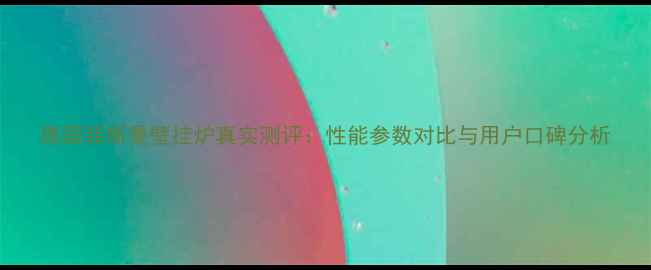 图片 德国菲斯曼壁挂炉真实测评：性能参数对比与用户口碑分析