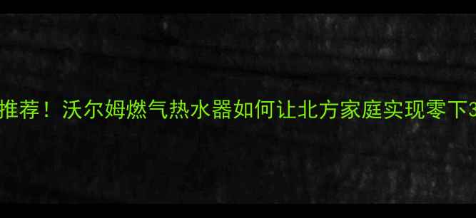 德国进口壁挂炉推荐沃尔姆燃气热水器如何让北方家庭实现零下30稳定供暖