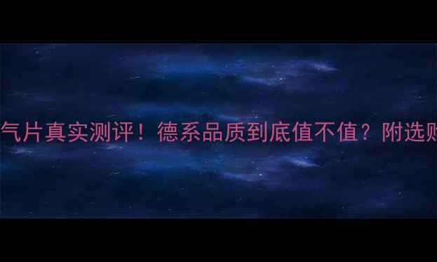 图片 德国迪诺暖气片真实测评！德系品质到底值不值？附选购避坑指南1