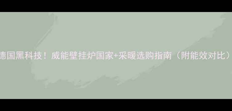 图片 德国黑科技！威能壁挂炉国家+采暖选购指南（附能效对比）