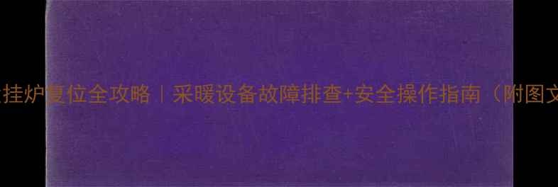 图片 德地氏壁挂炉复位全攻略｜采暖设备故障排查+安全操作指南（附图文教程）1