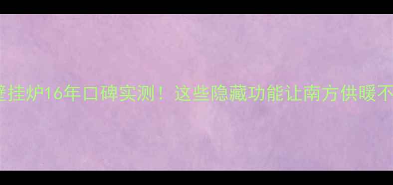 图片 德意壁挂炉16年口碑实测！这些隐藏功能让南方供暖不翻车1