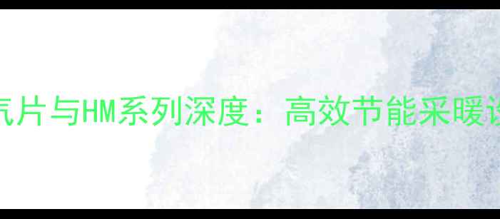 图片 德美拉得暖气片与HM系列深度：高效节能采暖设备选购指南