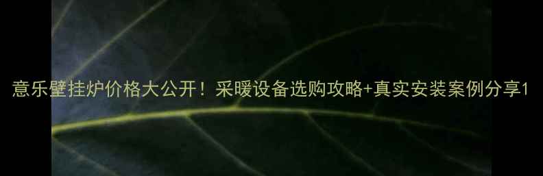图片 意乐壁挂炉价格大公开！采暖设备选购攻略+真实安装案例分享1