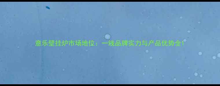 图片 意乐壁挂炉市场地位：一线品牌实力与产品优势全1