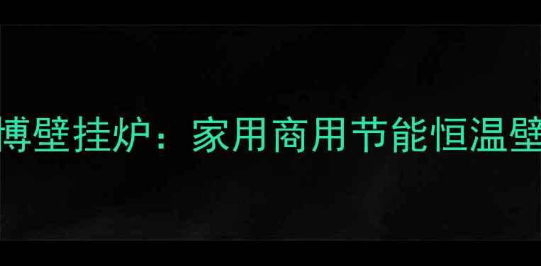 图片 意大利希尔博壁挂炉：家用商用节能恒温壁挂炉选购全