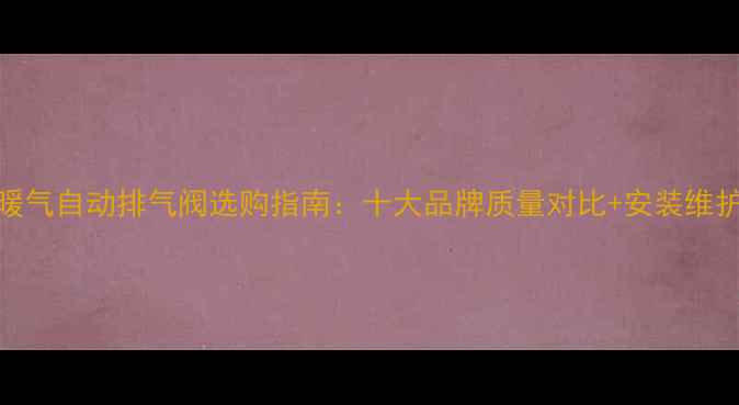 图片 意大利暖气自动排气阀选购指南：十大品牌质量对比+安装维护全攻略