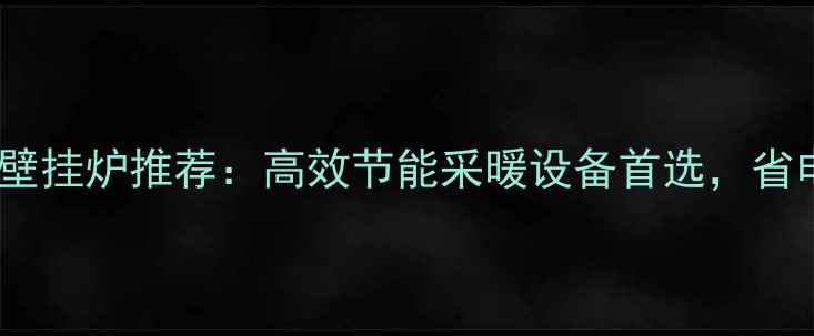 图片 意大利纯斯密壁挂炉推荐：高效节能采暖设备首选，省电省气更省心2