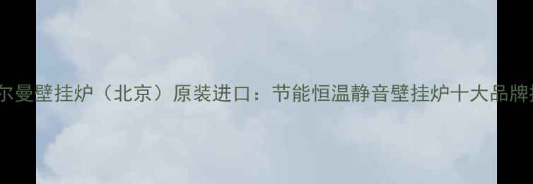 图片 意特尔曼壁挂炉（北京）原装进口：节能恒温静音壁挂炉十大品牌推荐2