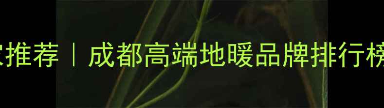 成都地暖厂家推荐成都高端地暖品牌排行榜及选装指南