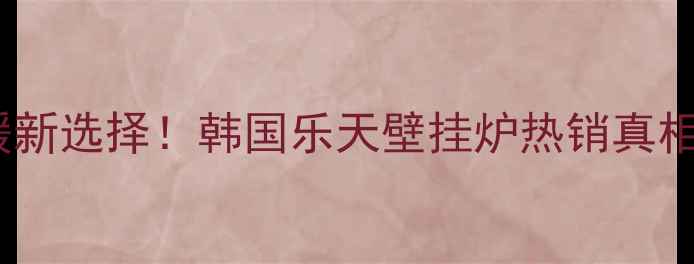 图片 成都家庭采暖新选择！韩国乐天壁挂炉热销真相及安装指南1