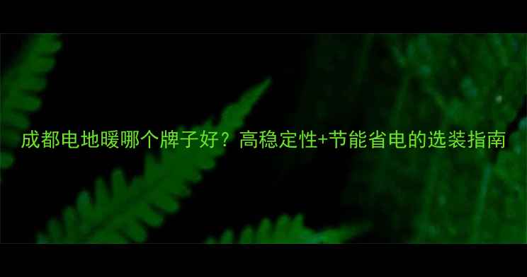 成都电地暖哪个牌子好高稳定性节能省电的选装指南