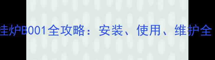 图片 戴纳斯帝壁挂炉B001全攻略：安装、使用、维护全（附视频）1