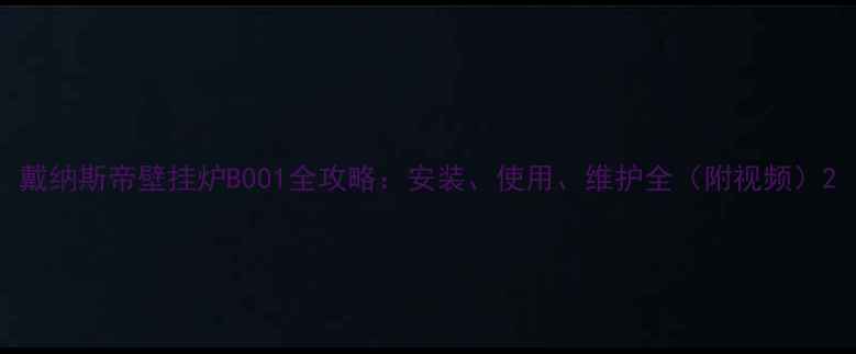 戴纳斯帝壁挂炉B001全攻略安装使用维护全附视频