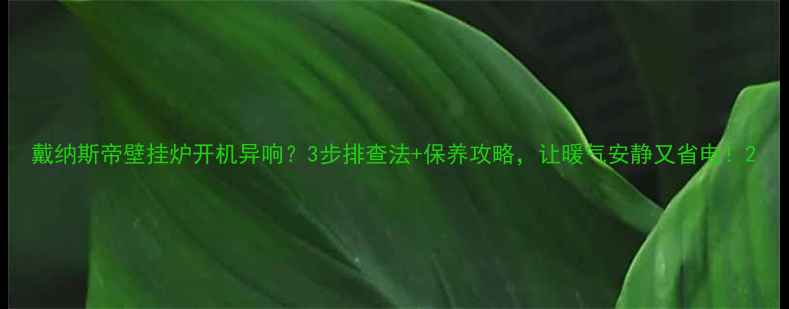 戴纳斯帝壁挂炉开机异响3步排查法保养攻略让暖气安静又省电
