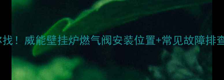 图片 手把手教你找！威能壁挂炉燃气阀安装位置+常见故障排查全攻略🔧1