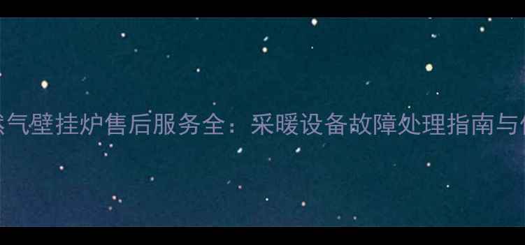 图片 扬子天然气壁挂炉售后服务全：采暖设备故障处理指南与保养秘籍