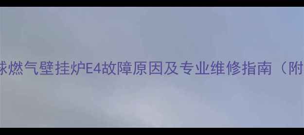 图片 故障代码半球燃气壁挂炉E4故障原因及专业维修指南（附高清图文）2