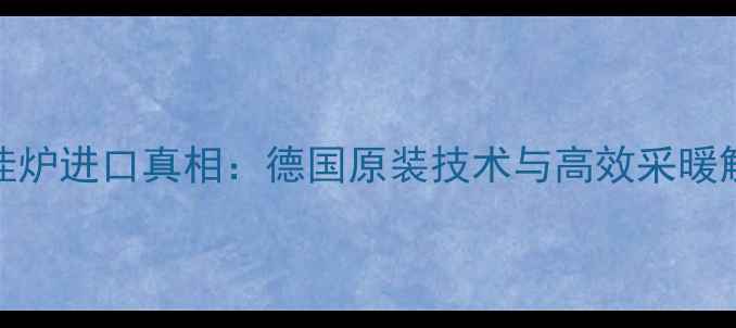 图片 斯密壁挂炉进口真相：德国原装技术与高效采暖解决方案