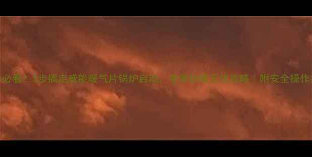 图片 新手必看！3步搞定威能暖气片锅炉启动，冬季供暖无忧攻略｜附安全操作指南