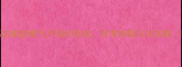 图片 新手必看！3步搞定威能暖气片锅炉启动，冬季供暖无忧攻略｜附安全操作指南1