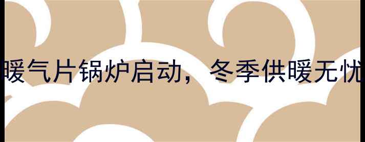 图片 新手必看！3步搞定威能暖气片锅炉启动，冬季供暖无忧攻略｜附安全操作指南2