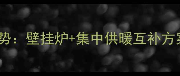 图片 新疆冬季采暖新趋势：壁挂炉+集中供暖互补方案（附安装指南）1