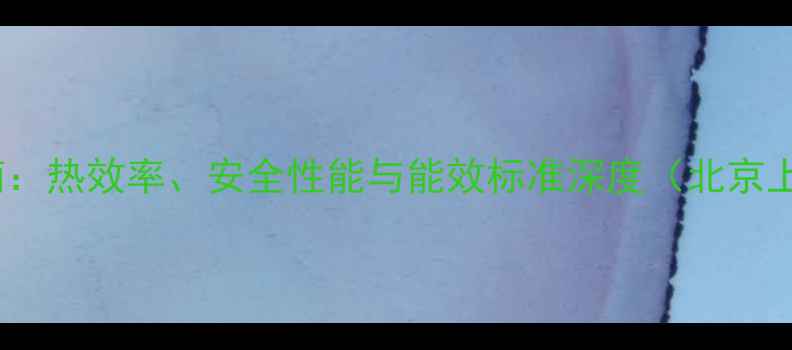 图片 新科壁挂炉选购指南：热效率、安全性能与能效标准深度（北京上海天津地区适用）2