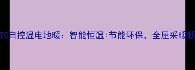 图片 日本PTC自控温电地暖：智能恒温+节能环保，全屋采暖新选择1