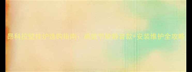 图片 昂科拉壁挂炉选购指南：高效节能静音款+安装维护全攻略