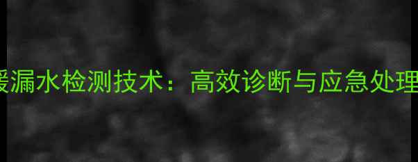 图片 智能地暖漏水检测技术：高效诊断与应急处理全攻略2