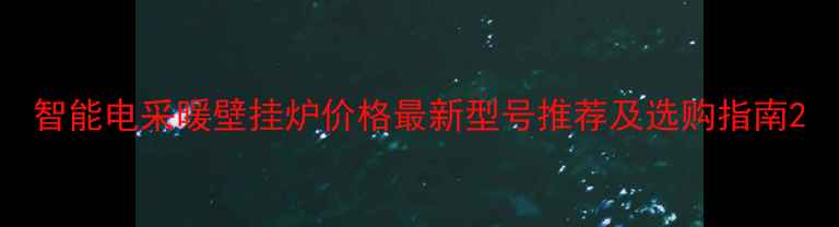 智能电采暖壁挂炉价格最新型号推荐及选购指南