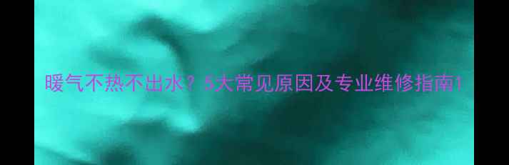 图片 暖气不热不出水？5大常见原因及专业维修指南1