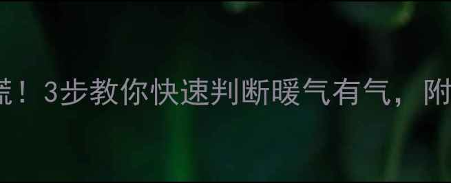 暖气不热别慌3步教你快速判断暖气有气附补救指南