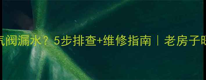 暖气不自动排气阀漏水5步排查维修指南老房子暖气养护全攻略