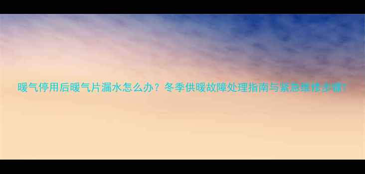 图片 暖气停用后暖气片漏水怎么办？冬季供暖故障处理指南与紧急维修步骤1