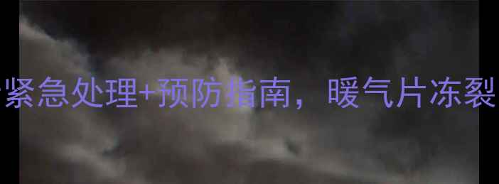 暖气冻住怎么办5步紧急处理预防指南暖气片冻裂不热全攻略